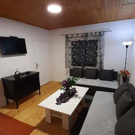 Vikendica Drinski Dar Holiday home Mali Zvornik