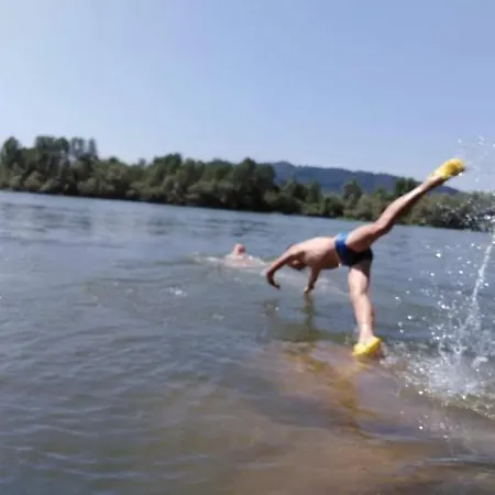 Casa de Férias Vikendica Drinski Dar *