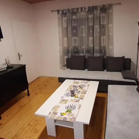 Vikendica Drinski Dar Holiday home Mali Zvornik