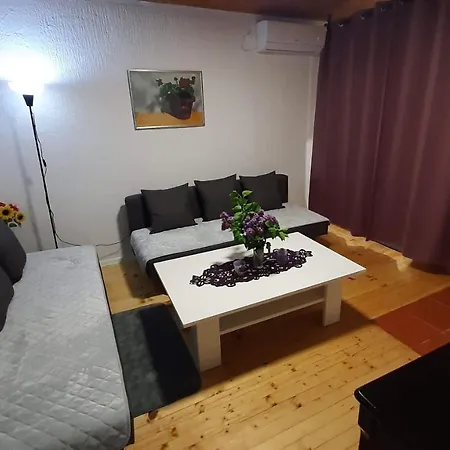 Vikendica Drinski Dar Holiday home Mali Zvornik