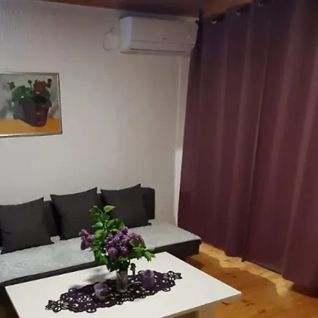 Vikendica Drinski Dar Holiday home Mali Zvornik