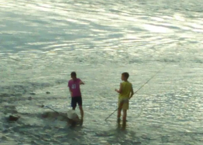 Vikendica Drinski Dar *